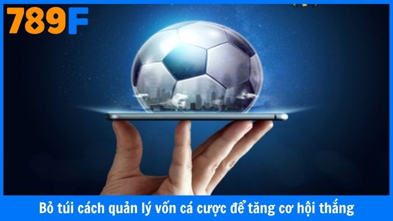 Bỏ túi cách quản lý vốn cá cược để tăng cơ hội thắng